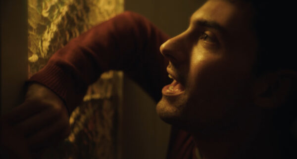 Gumboro_Still (2)