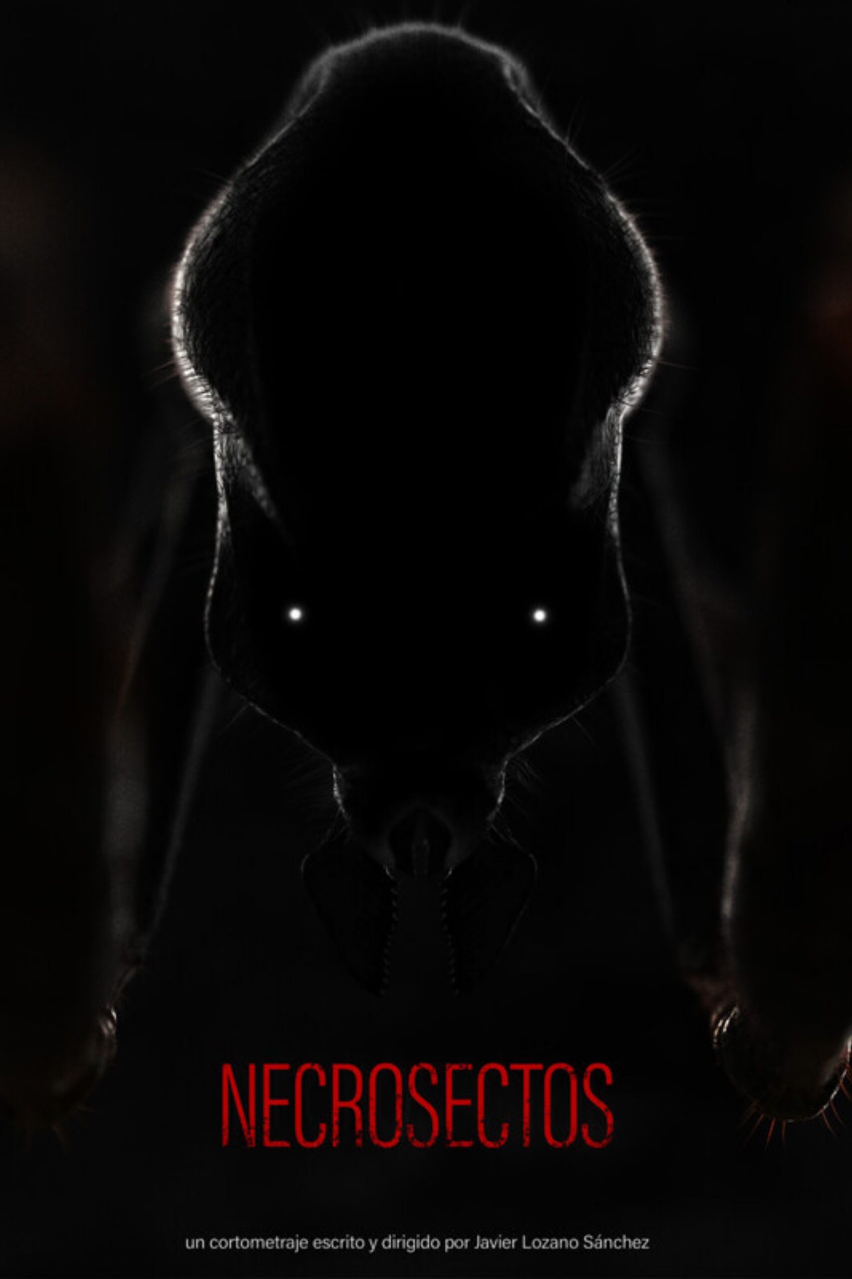 303 AM_Poster