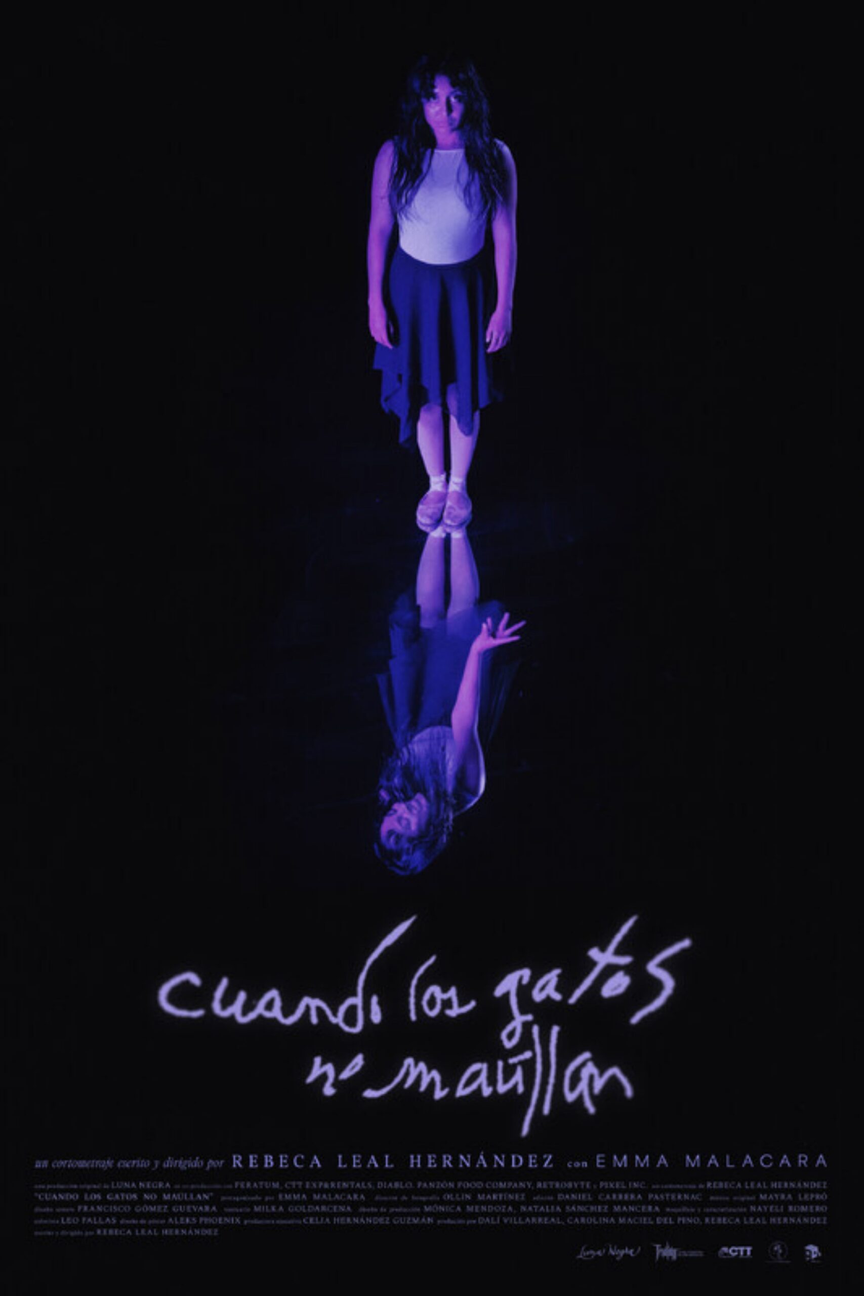 cuando los gatos no maúllan (when cats are silent)_Poster